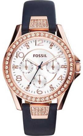 RCHES3887.jpg RCHES3887.jpg