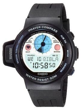 watch.Ref.CPW-310-7V.jpg