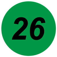 Браслет 26 мм.