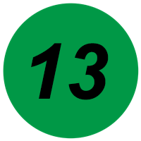 Браслет 13 мм.