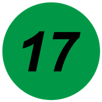 Браслет 17 мм.